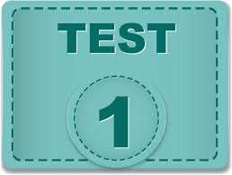 Test 1 Manual