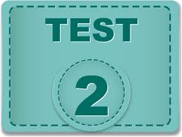 Test 2 Manual