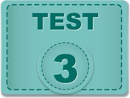 Test 3 Manual