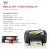 Ink Cartridges  Canon Ink 245 and 246-2 Pack